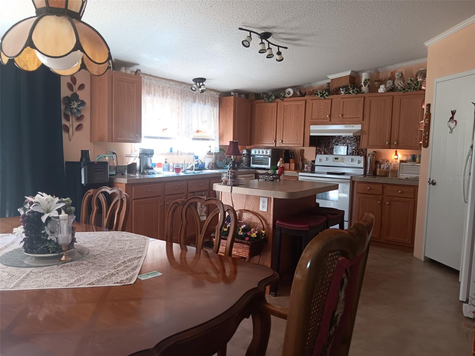 6271 SE 218TH AVE, MORRISTON, FL, 32668