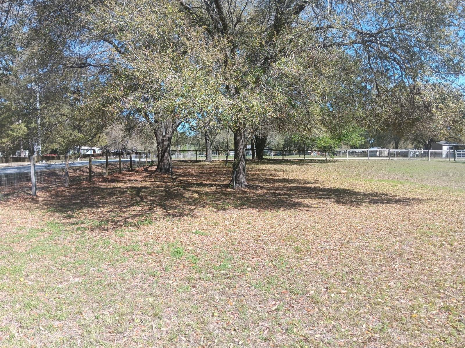 6271 SE 218TH AVE, MORRISTON, FL, 32668
