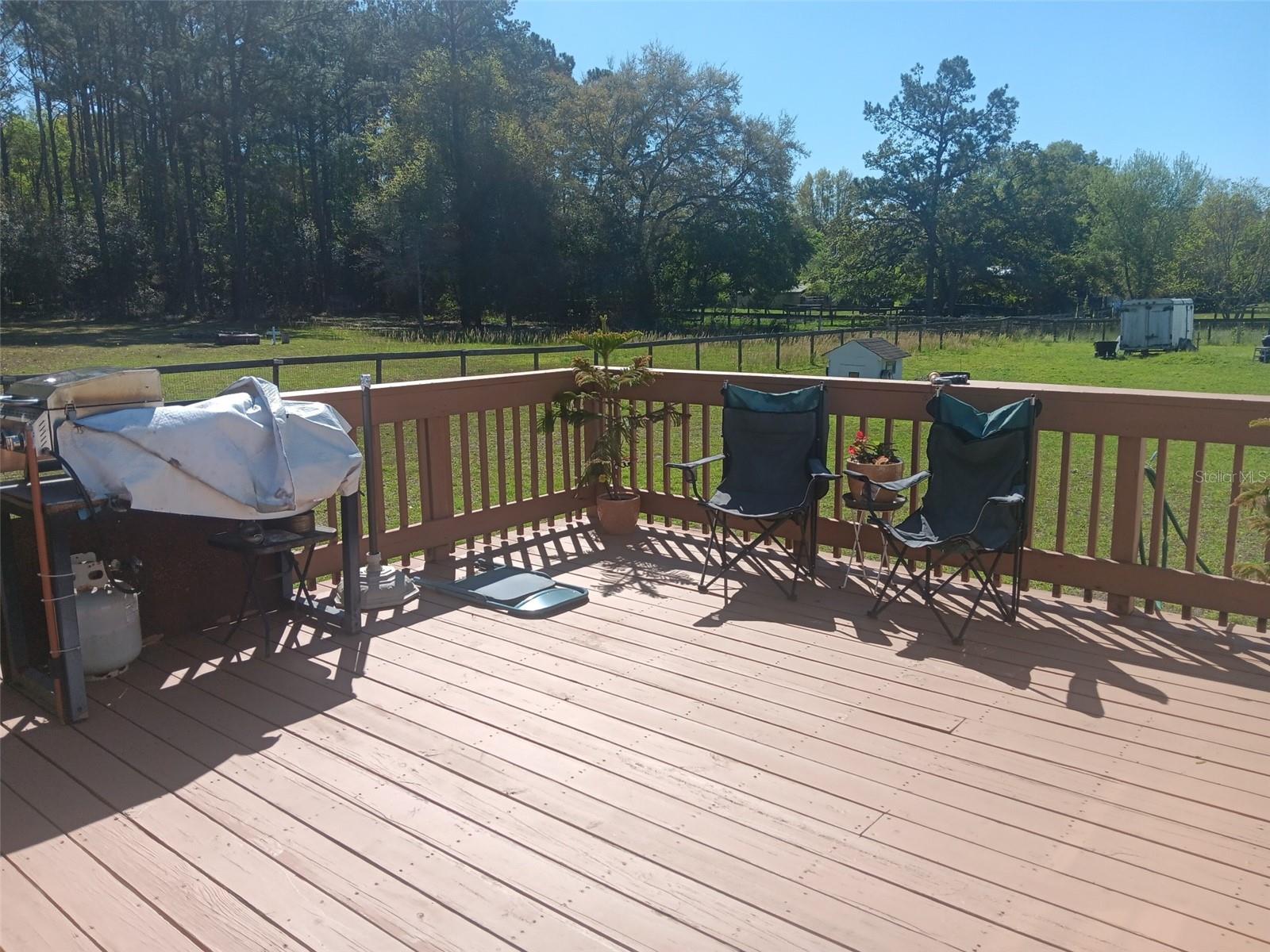 6271 SE 218TH AVE, MORRISTON, FL, 32668
