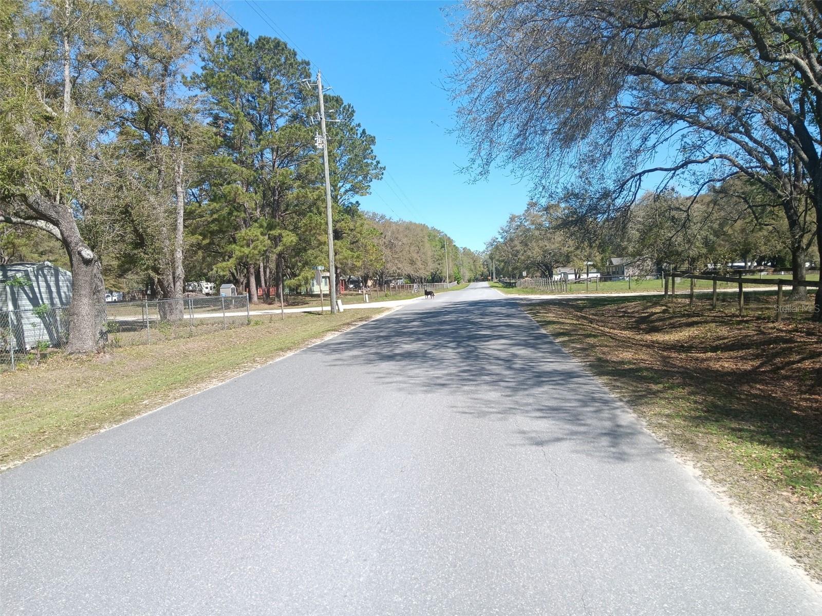 6271 SE 218TH AVE, MORRISTON, FL, 32668