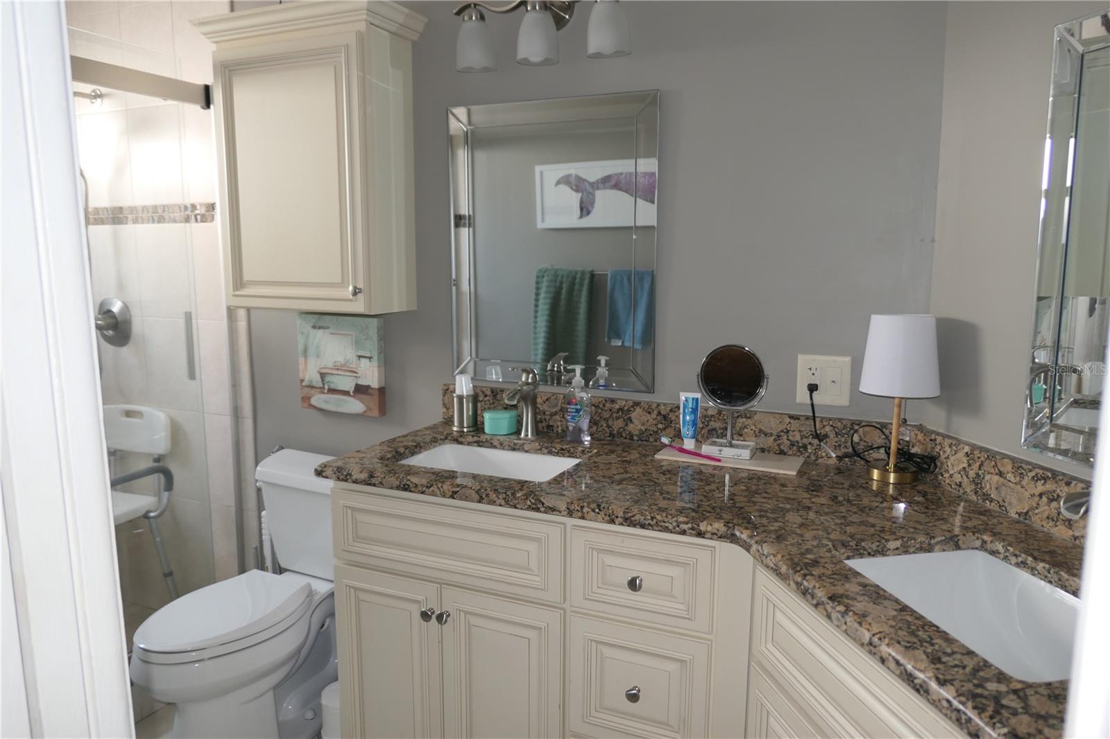 8609 THIMBLEBERRY LN, TAMPA, FL, 33635