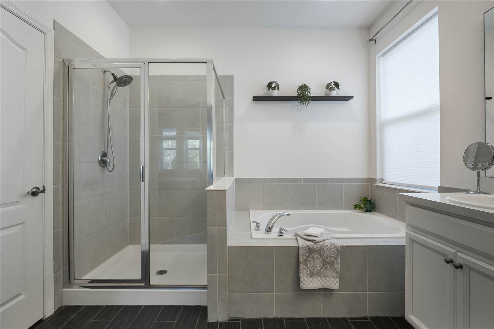 3893 WIND DANCER CIR, ST CLOUD, FL, 34772