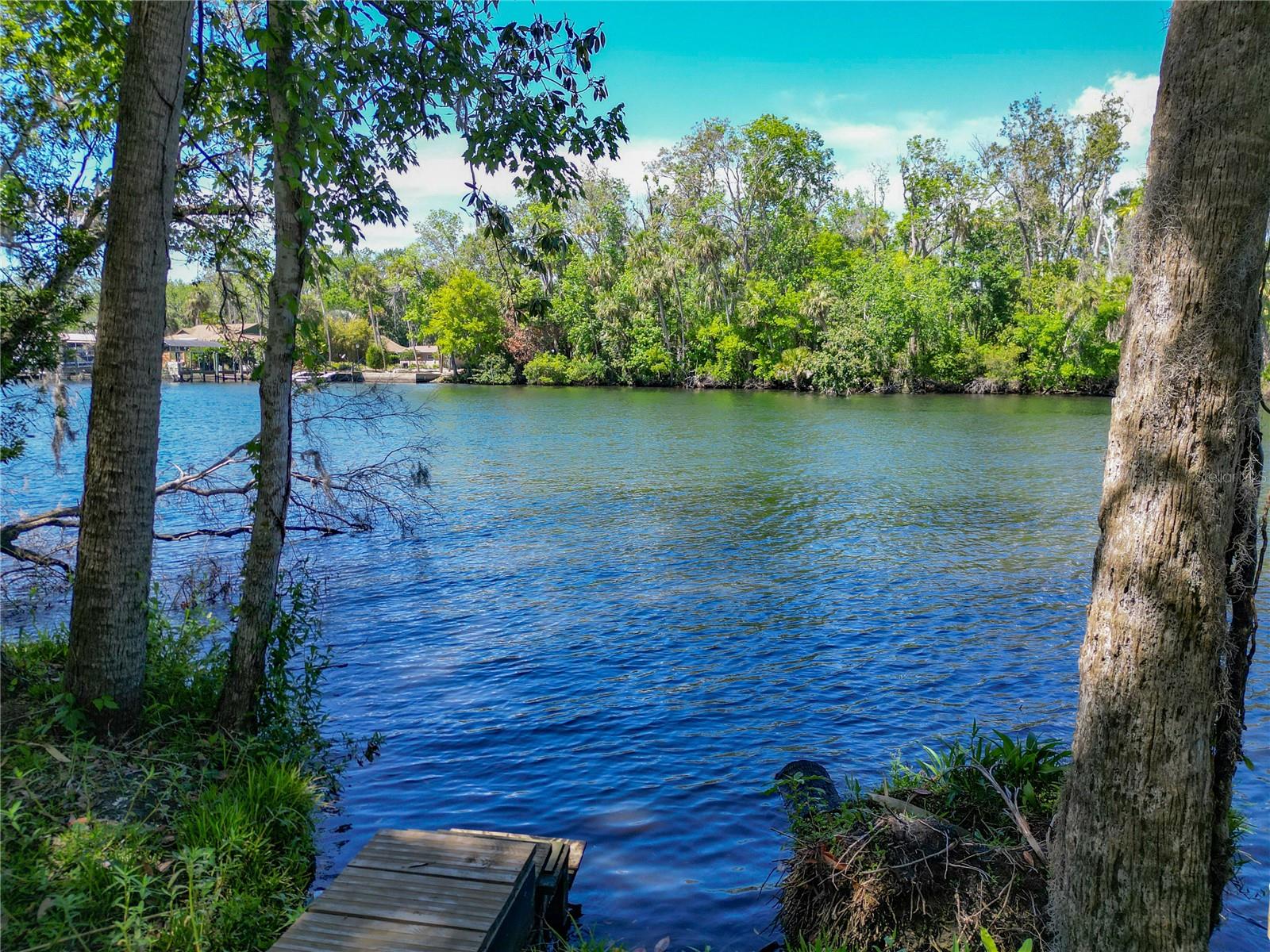 4600 S LEWOODS DR, HOMOSASSA, FL, 34448