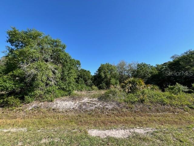 17119 NW 276TH ST, OKEECHOBEE, FL, 34972