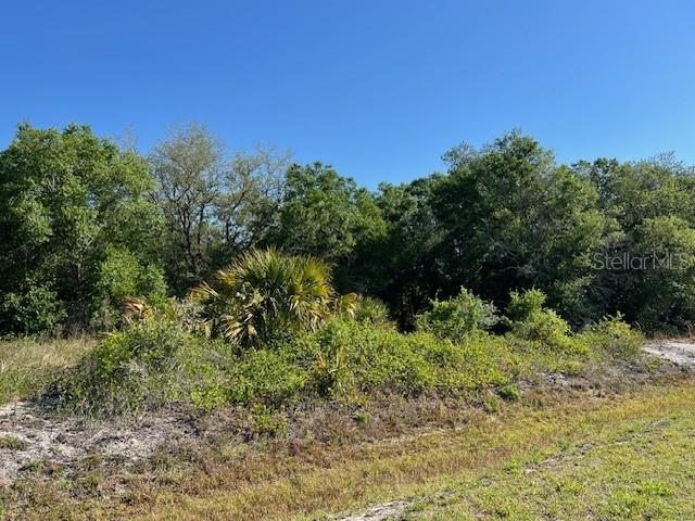 17119 NW 276TH ST, OKEECHOBEE, FL, 34972