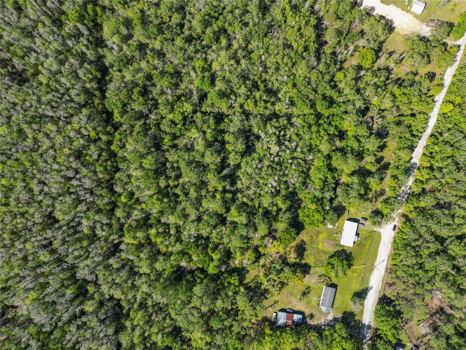 9540 COSTINE MEADOWS DR, LAKELAND, FL, 33809