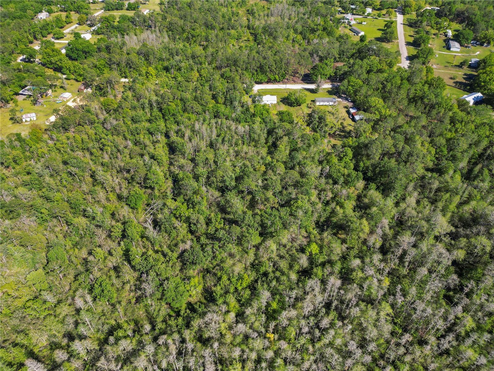 9540 COSTINE MEADOWS DR, LAKELAND, FL, 33809