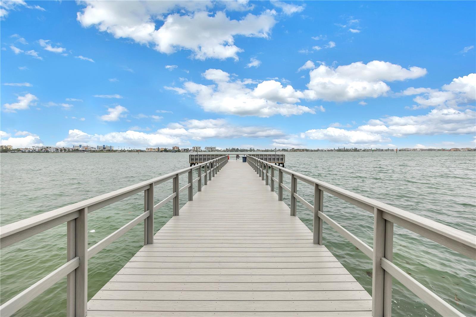 4550 COVE CIR #408, ST PETERSBURG, FL, 33708
