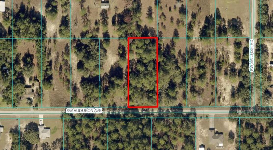 TBD LOT 35 SW AUDUBON AVE, DUNNELLON, FL, 34431
