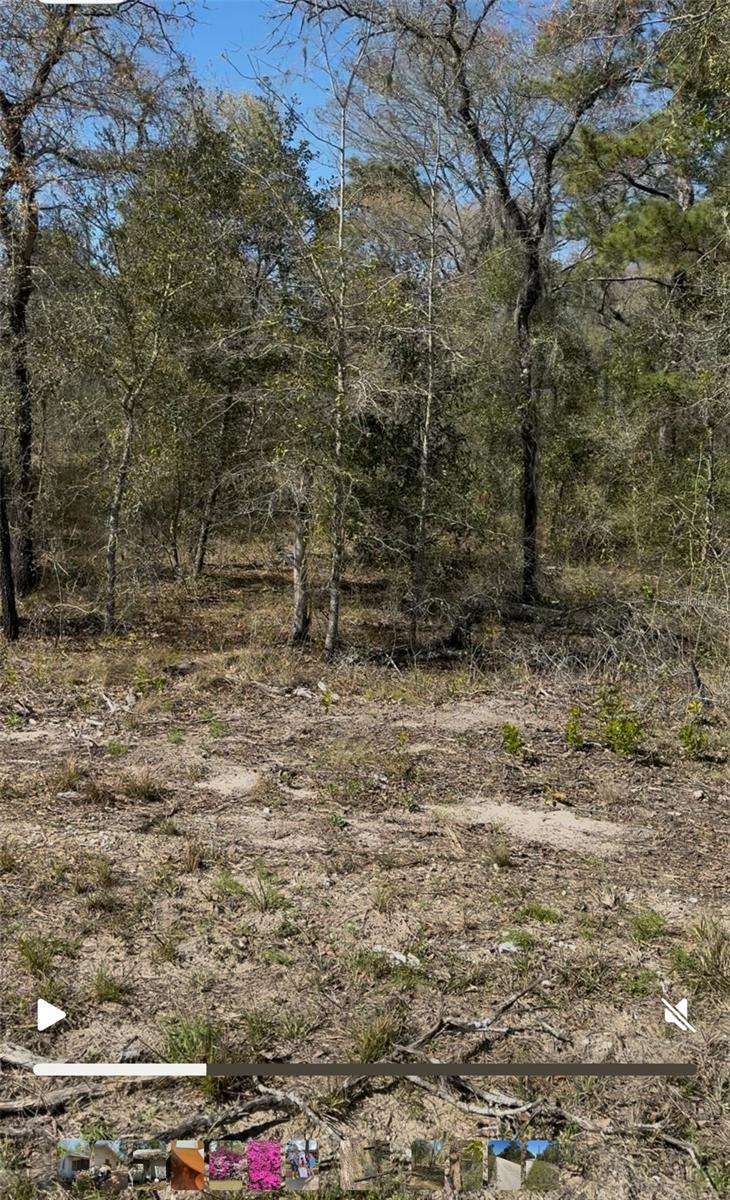 13921 SE 26TH ST, MORRISTON, FL, 32668