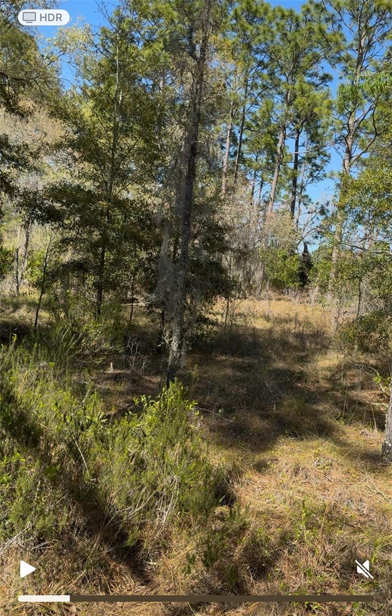 13921 SE 26TH ST, MORRISTON, FL, 32668