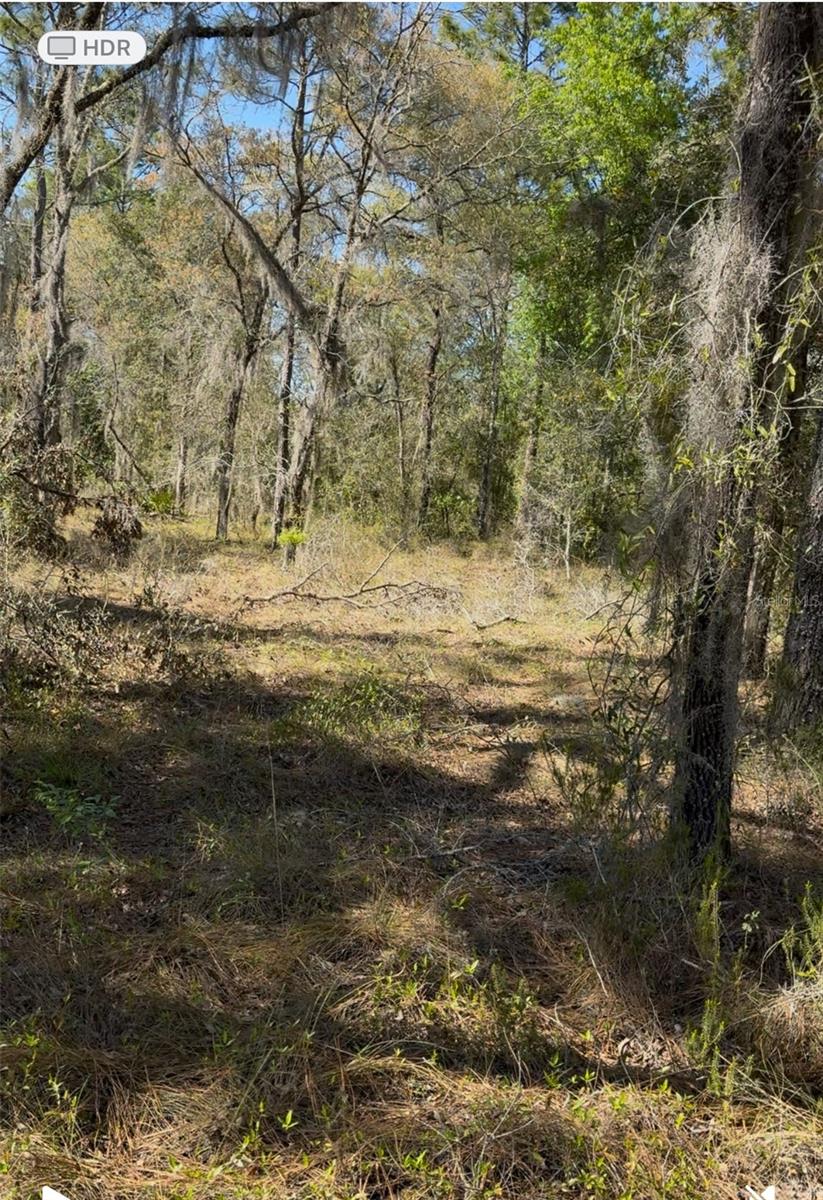 13921 SE 26TH ST, MORRISTON, FL, 32668