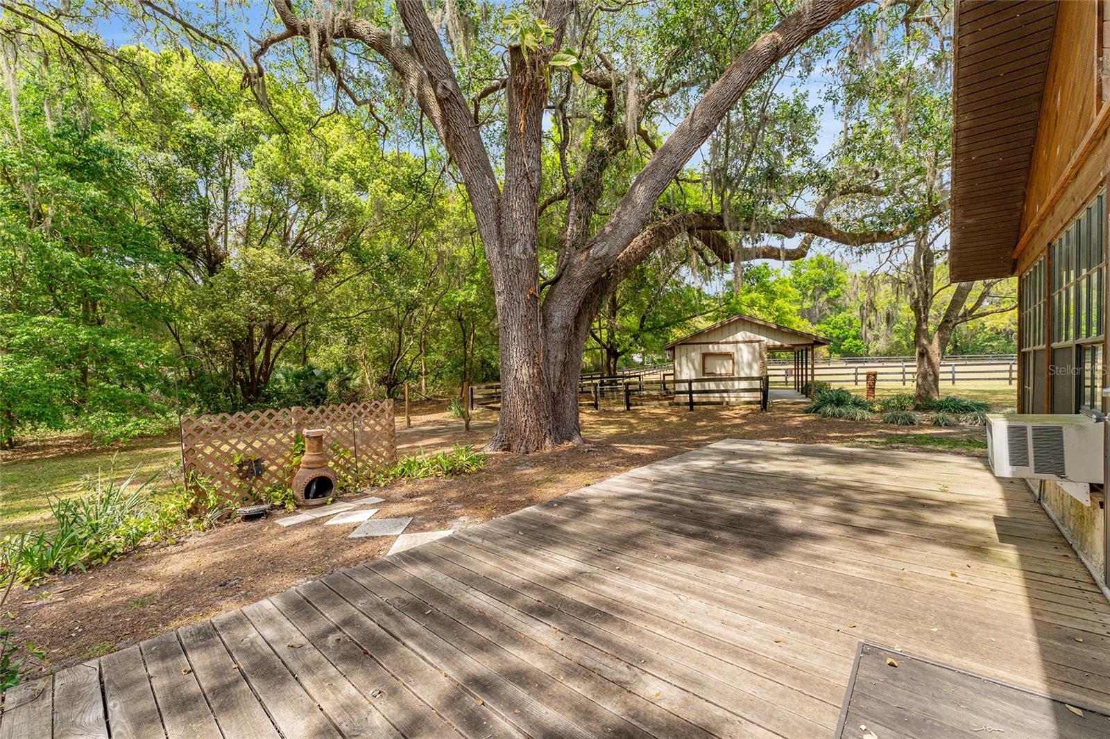 10300 SE 172ND LN, SUMMERFIELD, FL, 34491