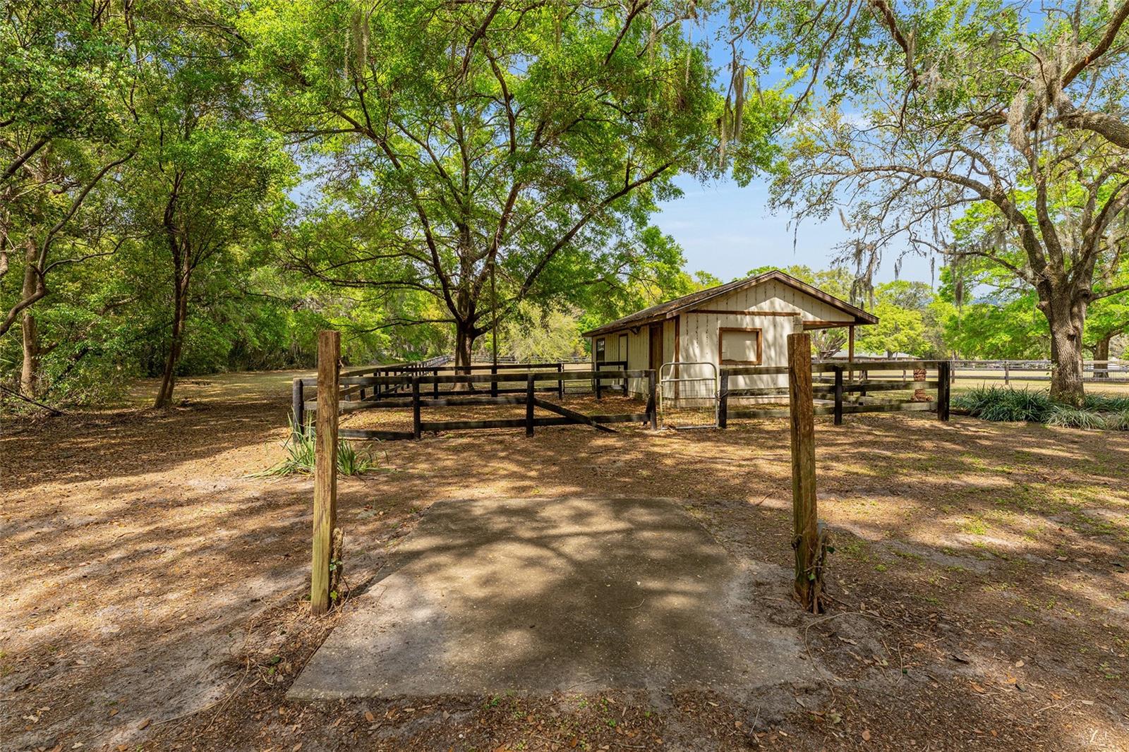 10300 SE 172ND LN, SUMMERFIELD, FL, 34491