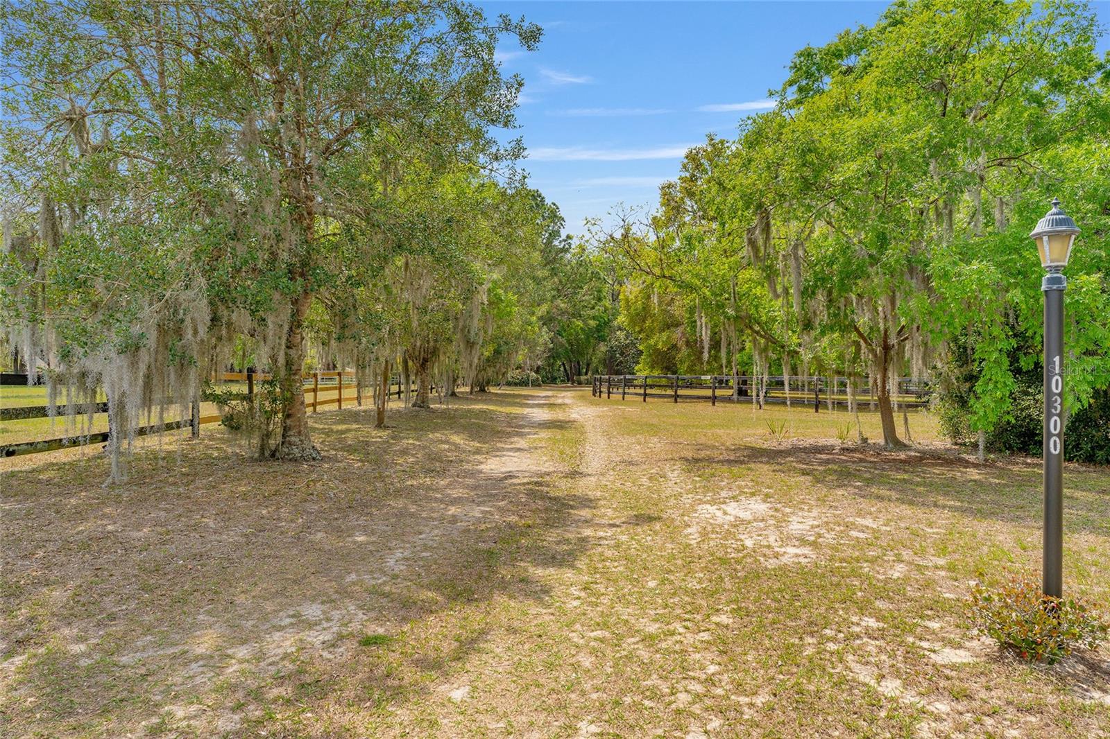 10300 SE 172ND LN, SUMMERFIELD, FL, 34491