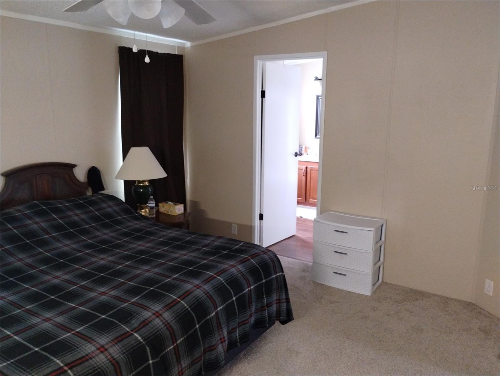 34135 BROWN BAYOU, WESLEY CHAPEL, FL, 33543