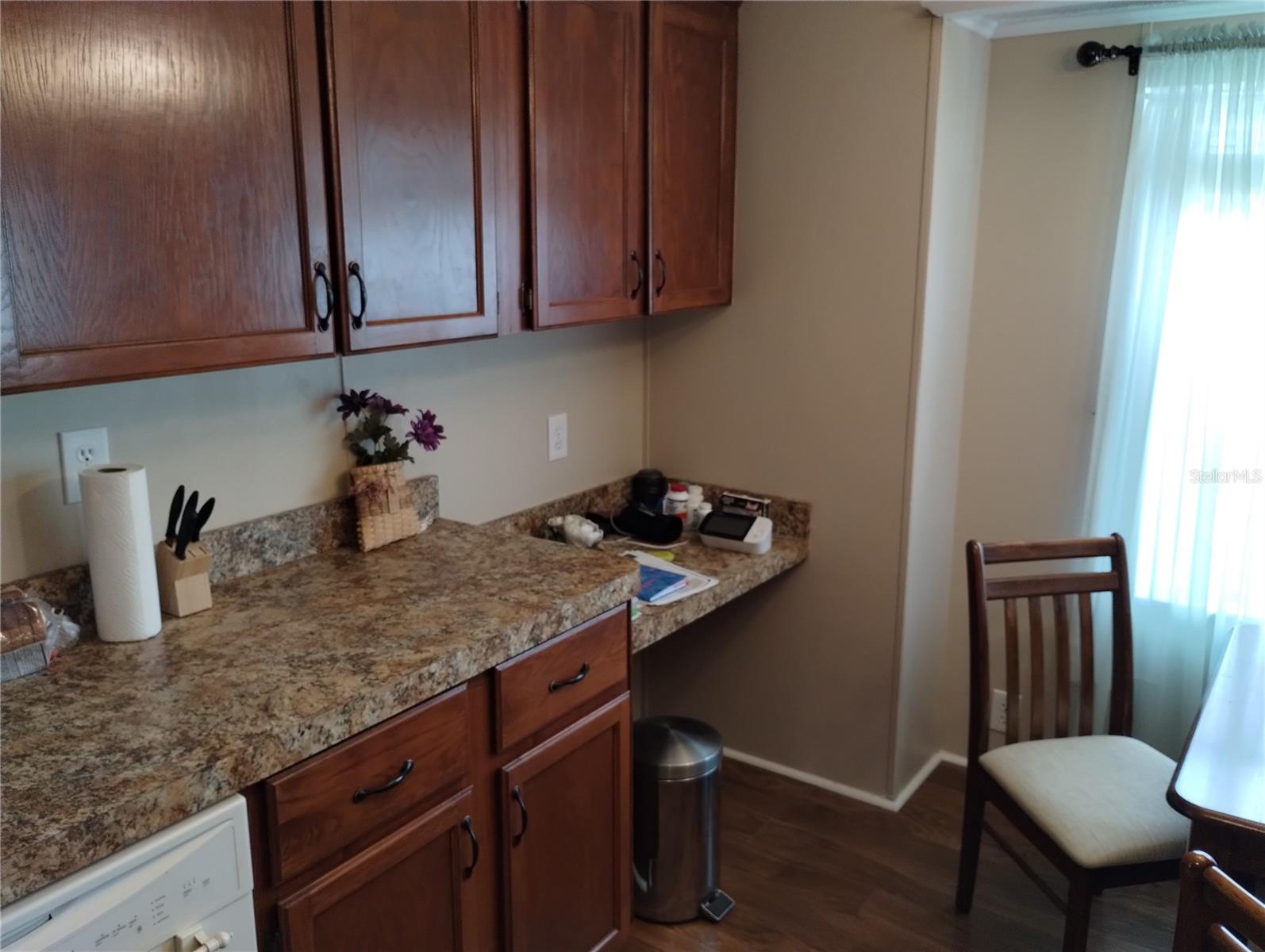 34135 BROWN BAYOU, WESLEY CHAPEL, FL, 33543