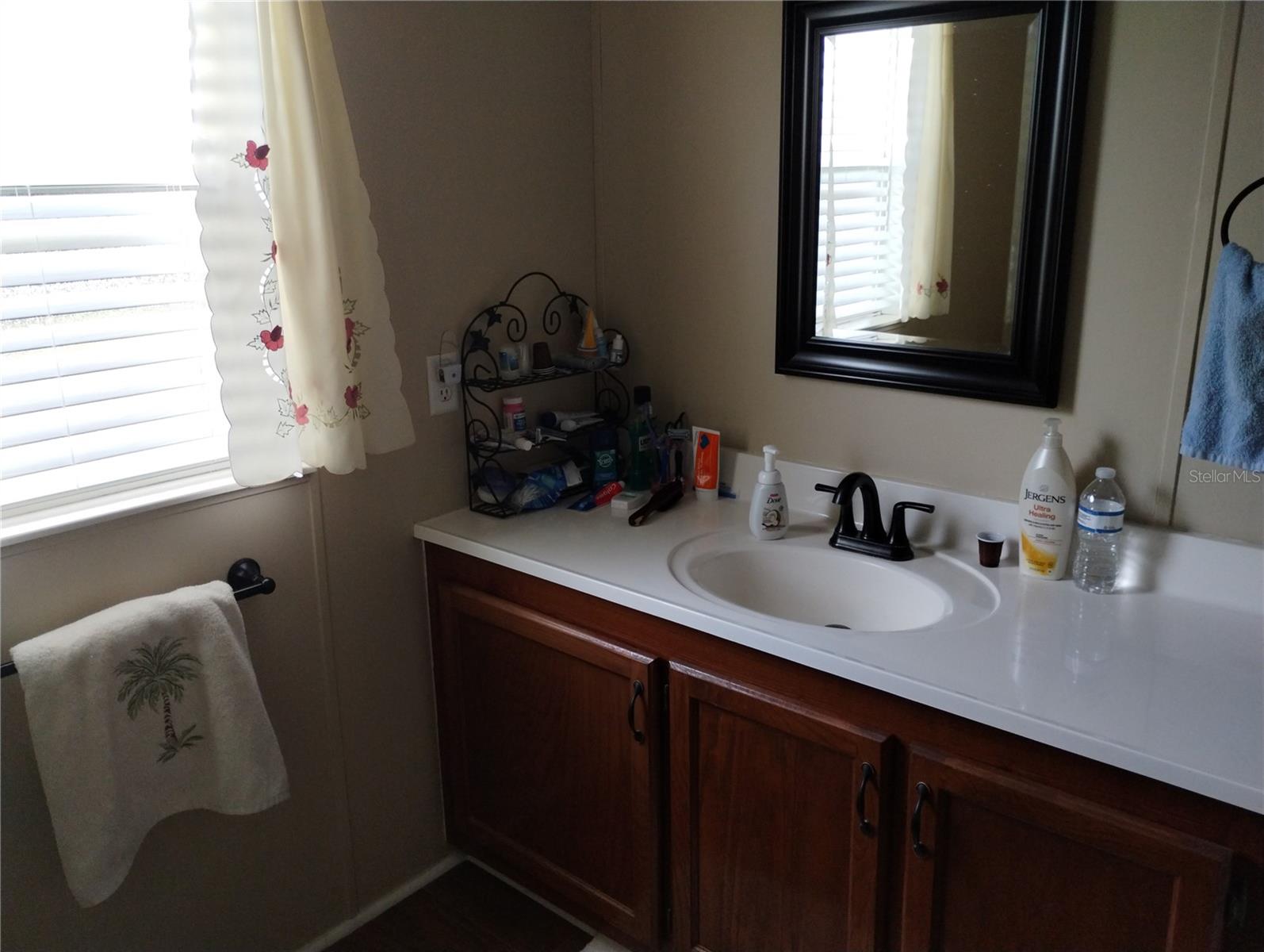 34135 BROWN BAYOU, WESLEY CHAPEL, FL, 33543