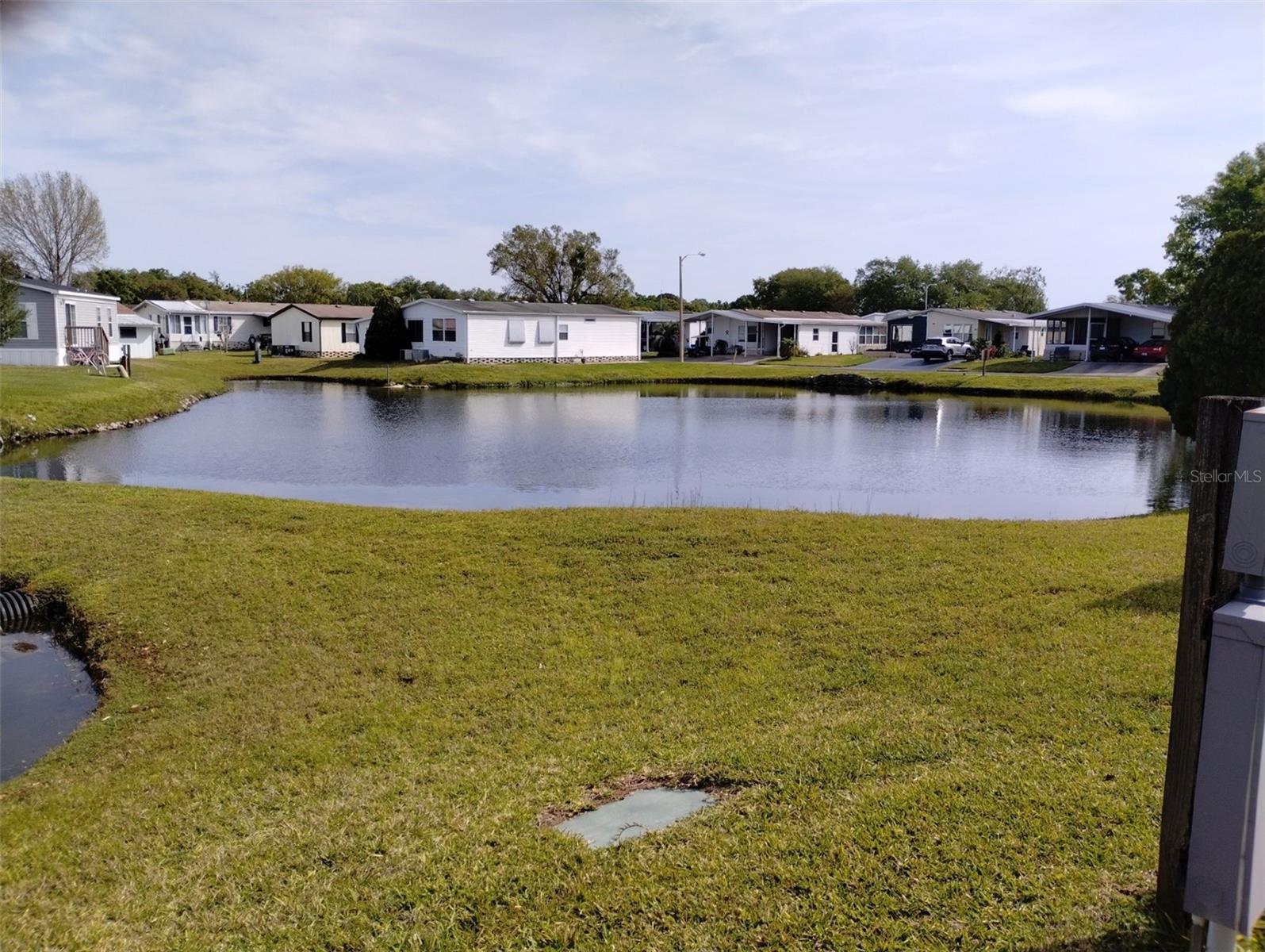 34135 BROWN BAYOU, WESLEY CHAPEL, FL, 33543