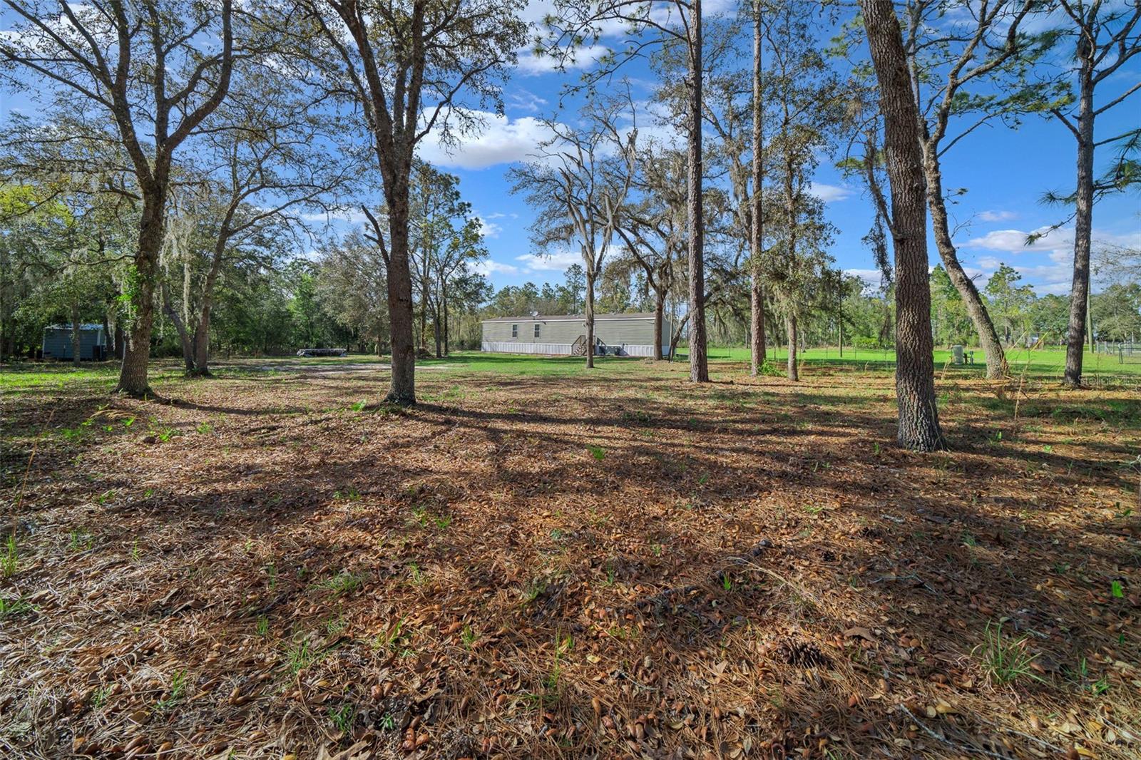 12130 NE 15TH ST, WILLISTON, FL, 32696