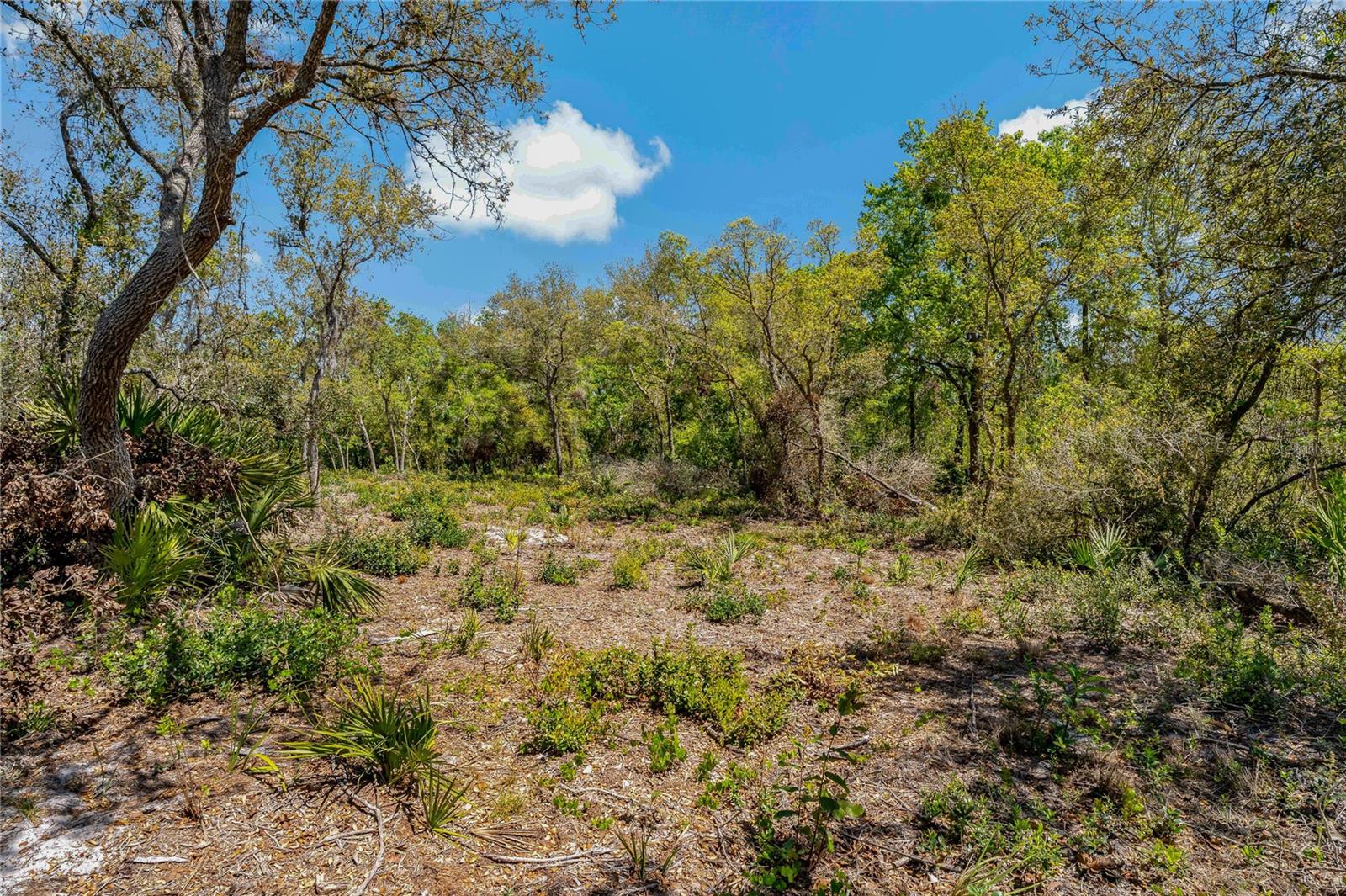 2135 BEAR RUN N, FROSTPROOF, FL, 33843