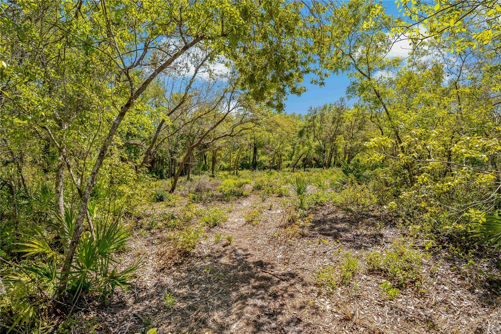 2135 BEAR RUN N, FROSTPROOF, FL, 33843