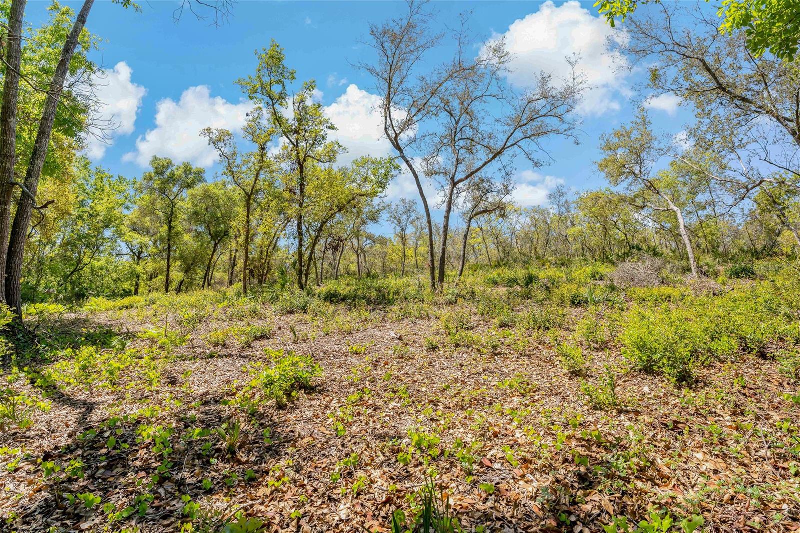 2135 BEAR RUN N, FROSTPROOF, FL, 33843