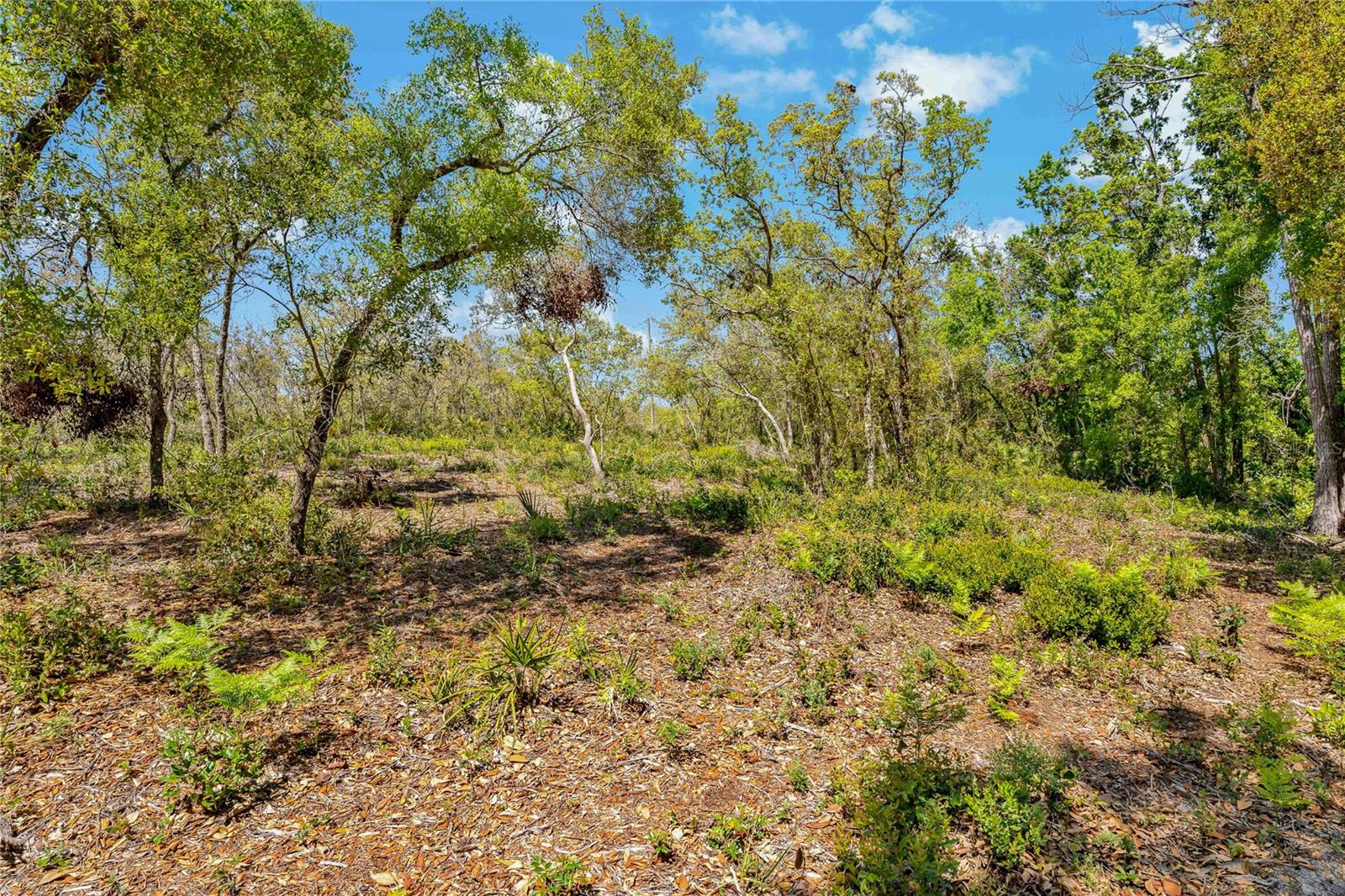 2135 BEAR RUN N, FROSTPROOF, FL, 33843