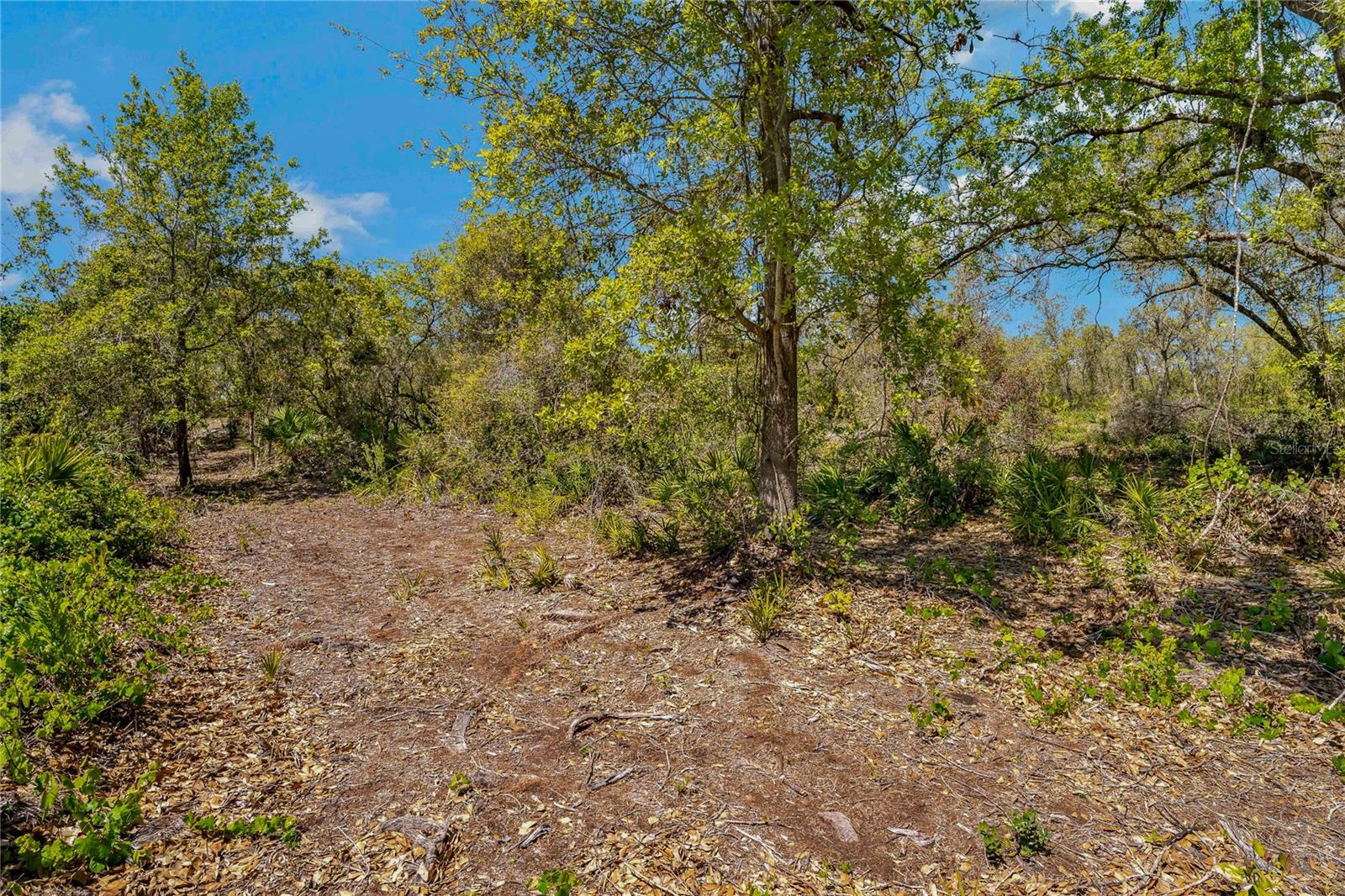 2135 BEAR RUN N, FROSTPROOF, FL, 33843