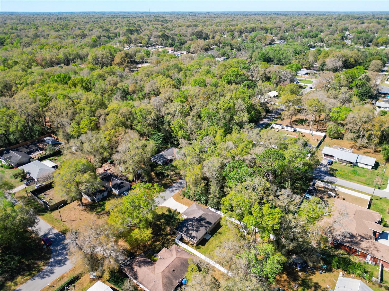 4575 SE 137TH PL, SUMMERFIELD, FL, 34491