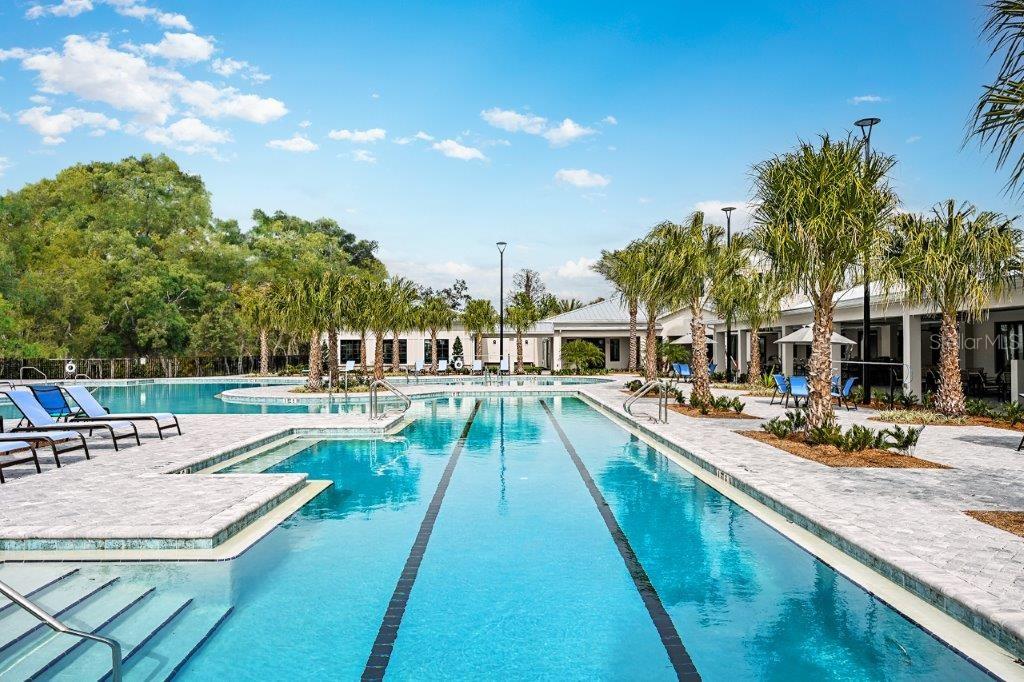 17265 TORTOISE CROWN BLVD, LAND O LAKES, FL, 34638