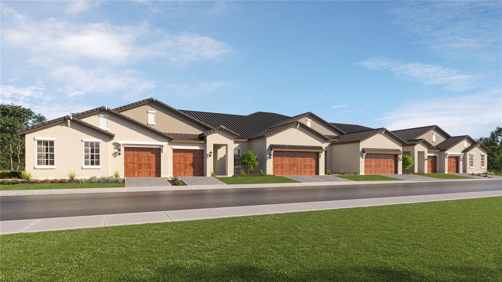 17265 TORTOISE CROWN BLVD, LAND O LAKES, FL, 34638
