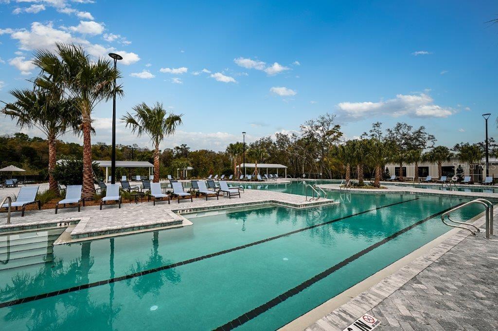 17265 TORTOISE CROWN BLVD, LAND O LAKES, FL, 34638