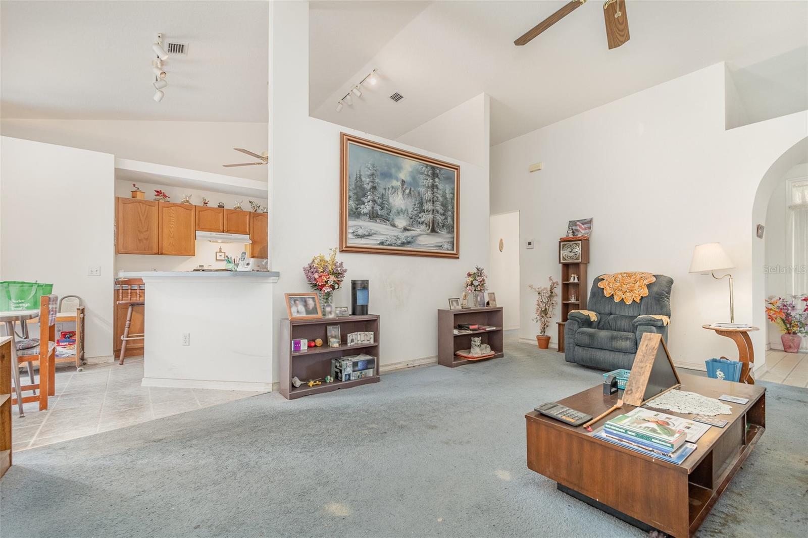 14325 GOLDEN VIEW DR, GRAND ISLAND, FL, 32735