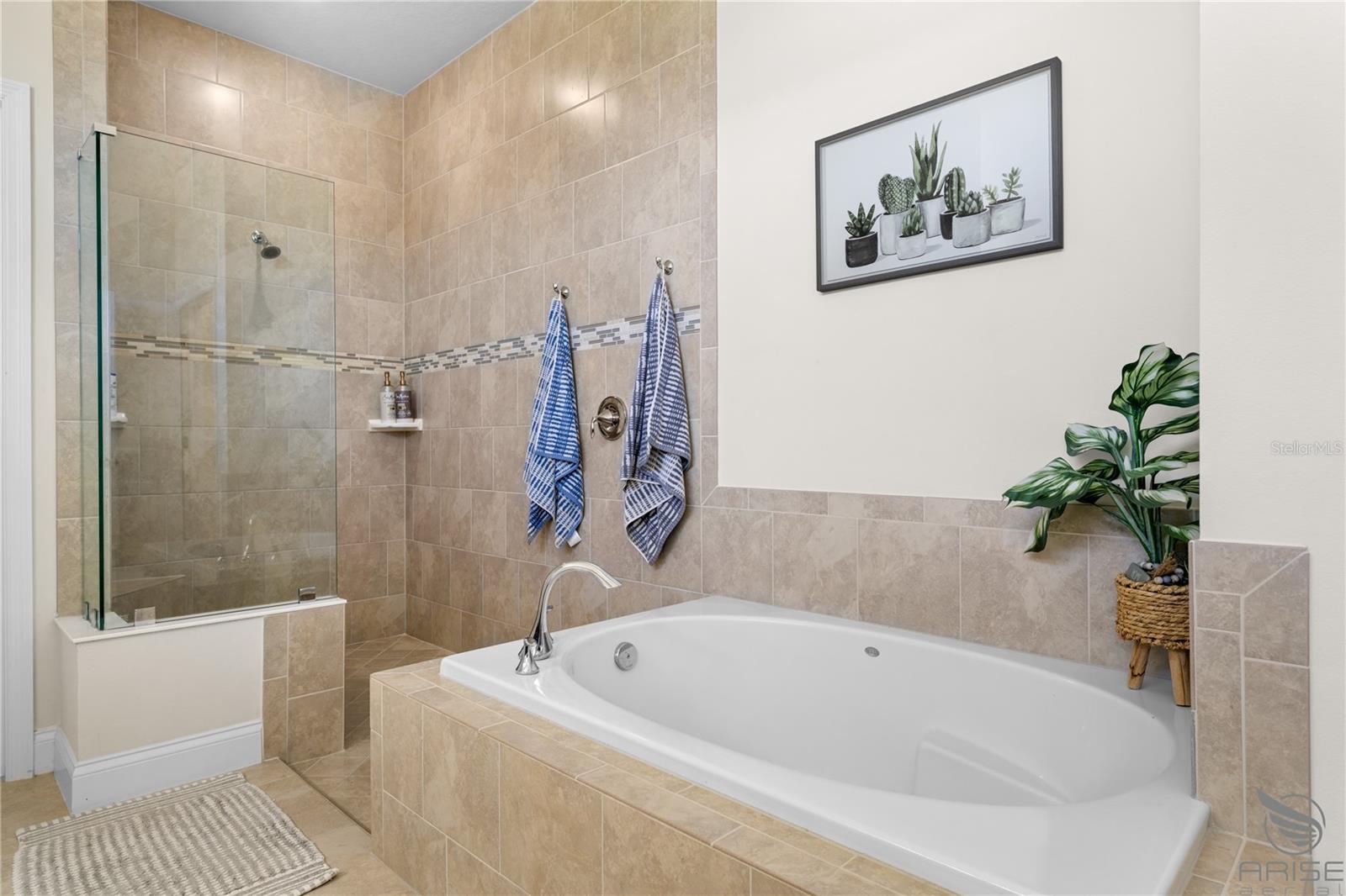 3048 BORASSUS DR, NEW SMYRNA BEACH, FL, 32168