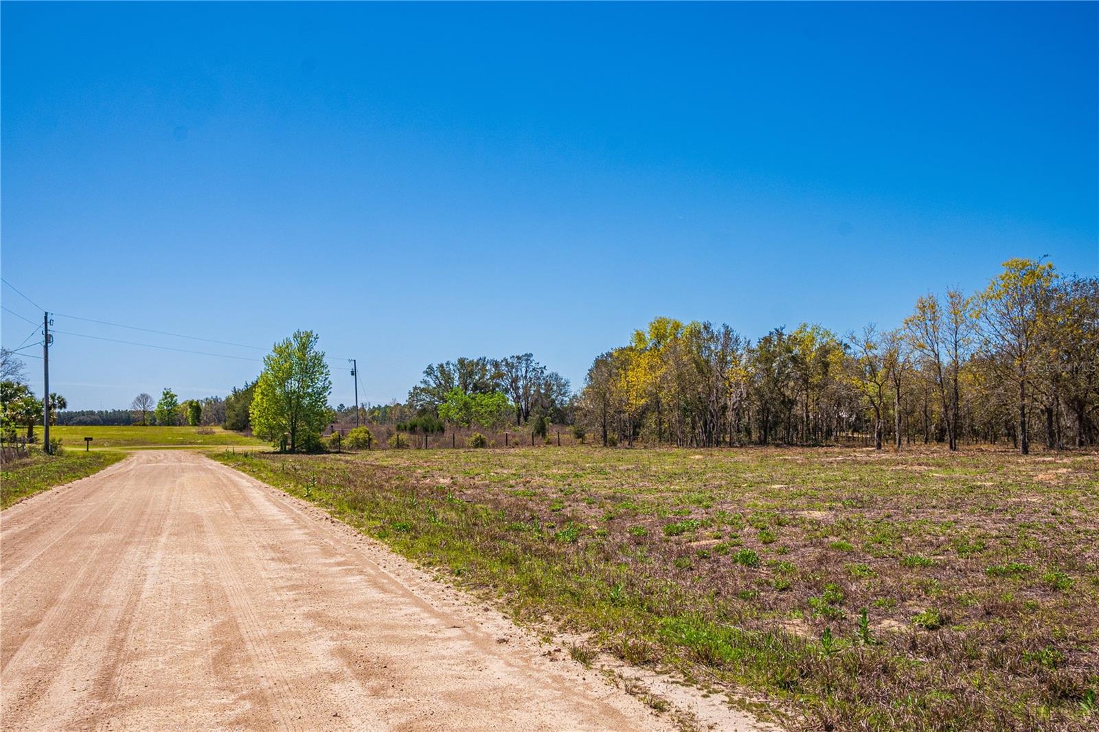 NE 118TH TER, BRONSON, FL, 32621