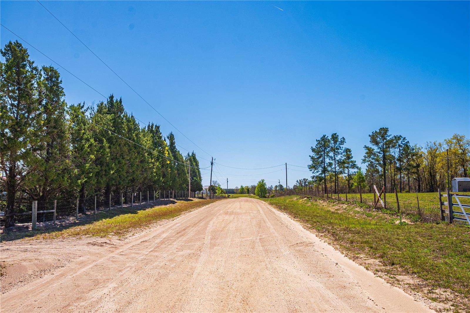 NE 118TH TER, BRONSON, FL, 32621
