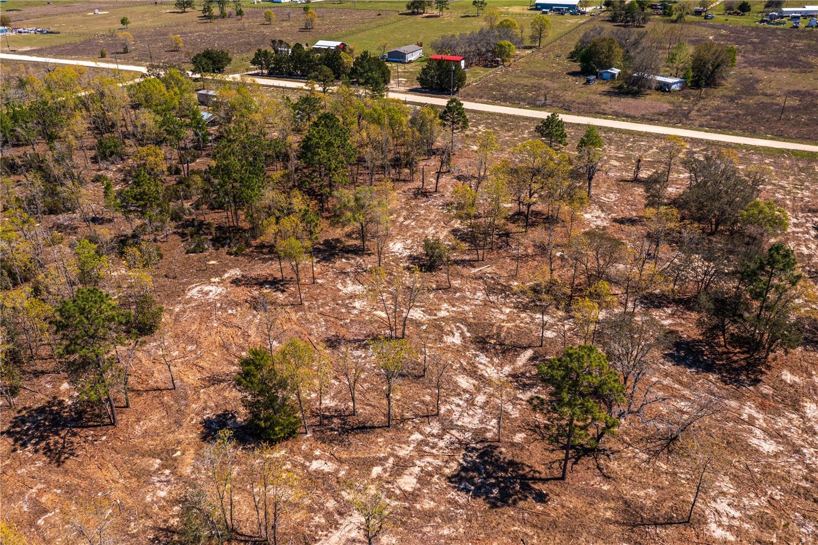 NE 118TH TER, BRONSON, FL, 32621