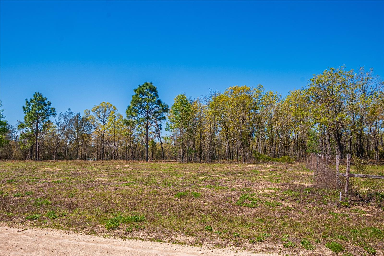 NE 118TH TER, BRONSON, FL, 32621