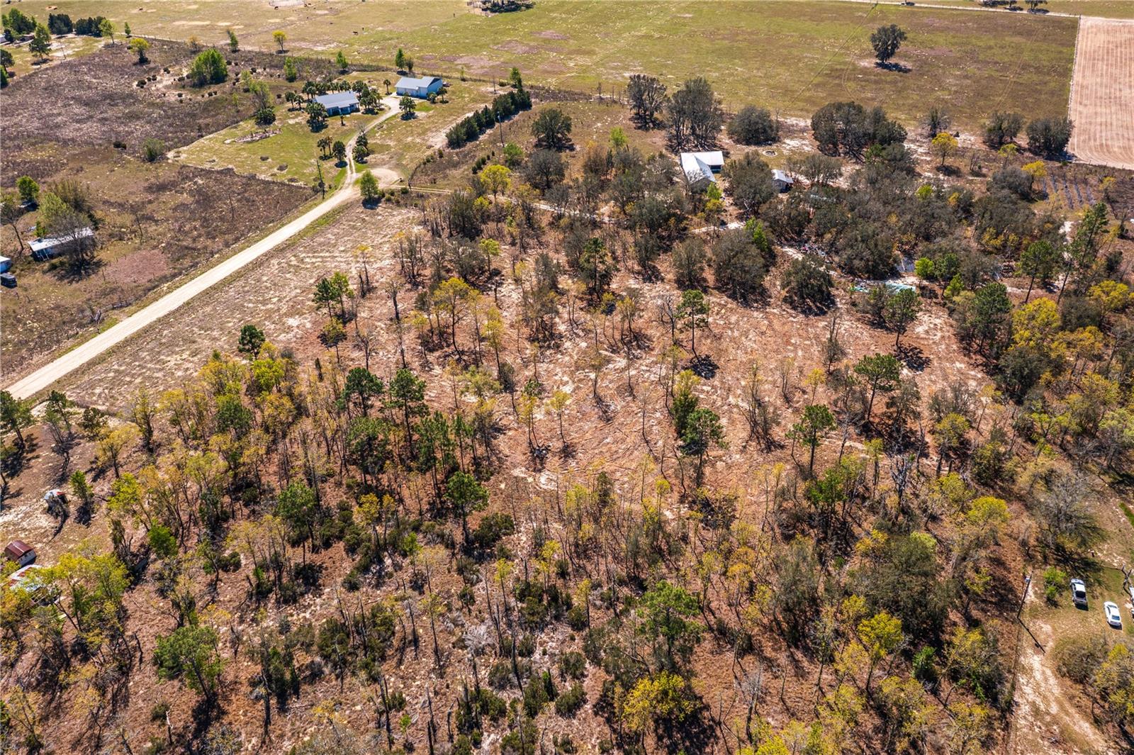 NE 118TH TER, BRONSON, FL, 32621
