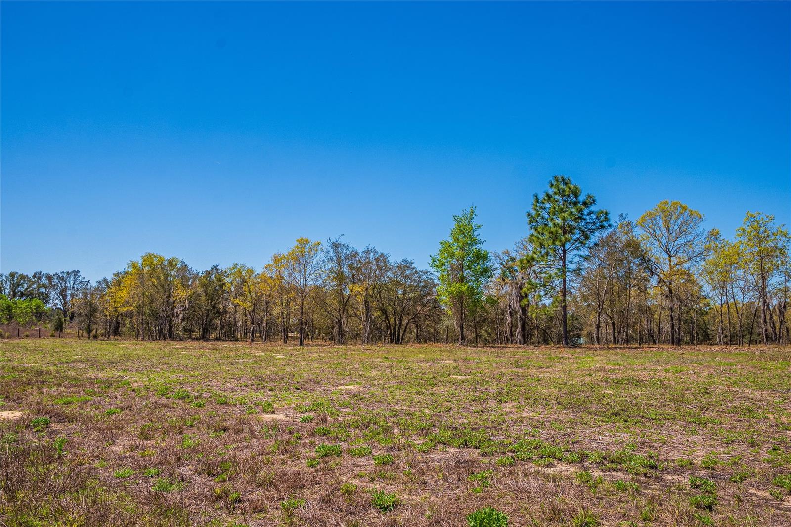 NE 118TH TER, BRONSON, FL, 32621