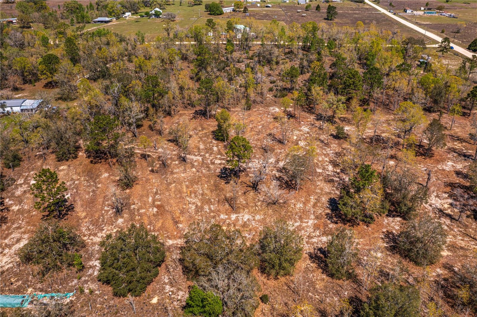 NE 118TH TER, BRONSON, FL, 32621