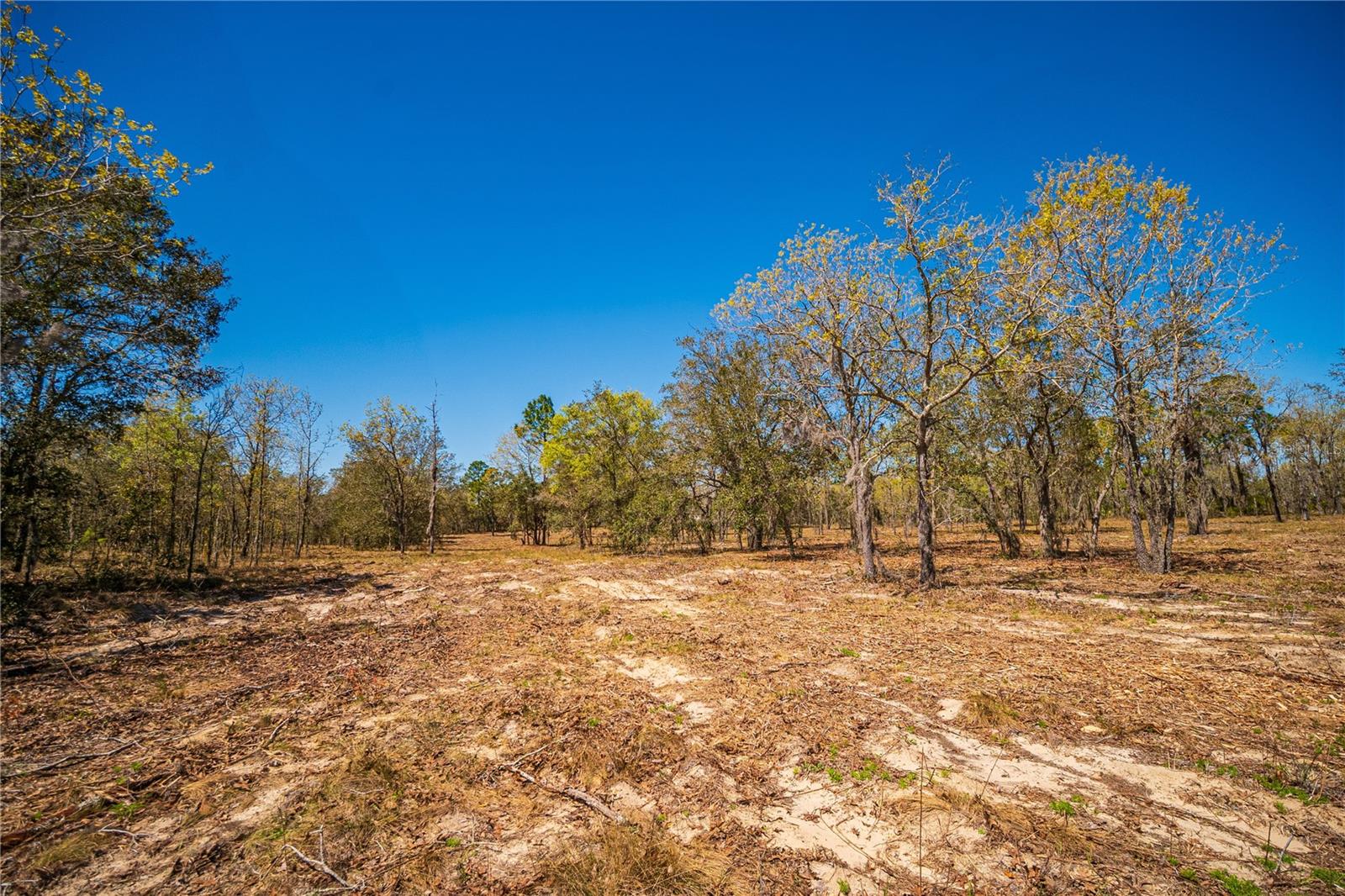 NE 118TH TER, BRONSON, FL, 32621