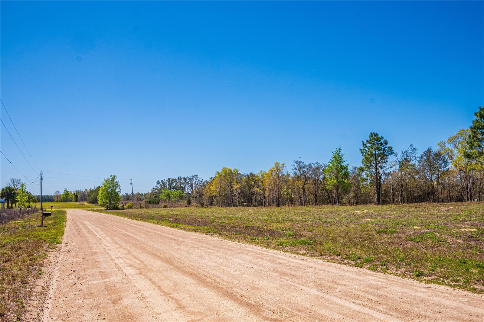 NE 118TH TER, BRONSON, FL, 32621