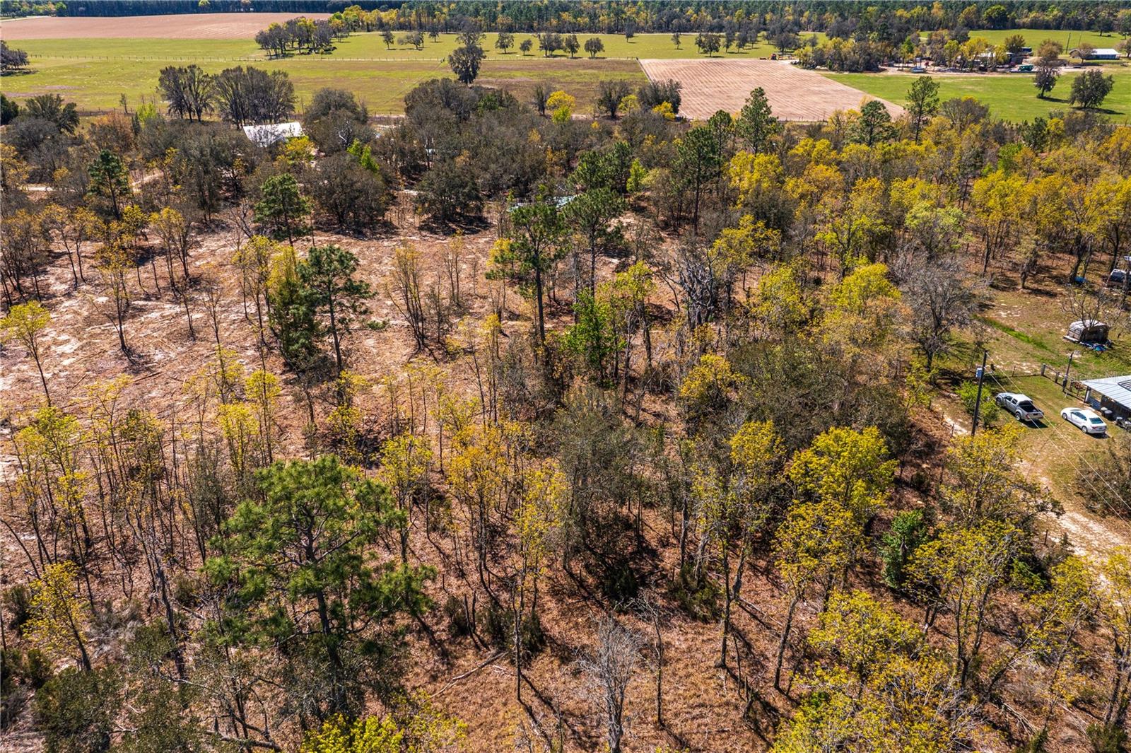 NE 118TH TER, BRONSON, FL, 32621