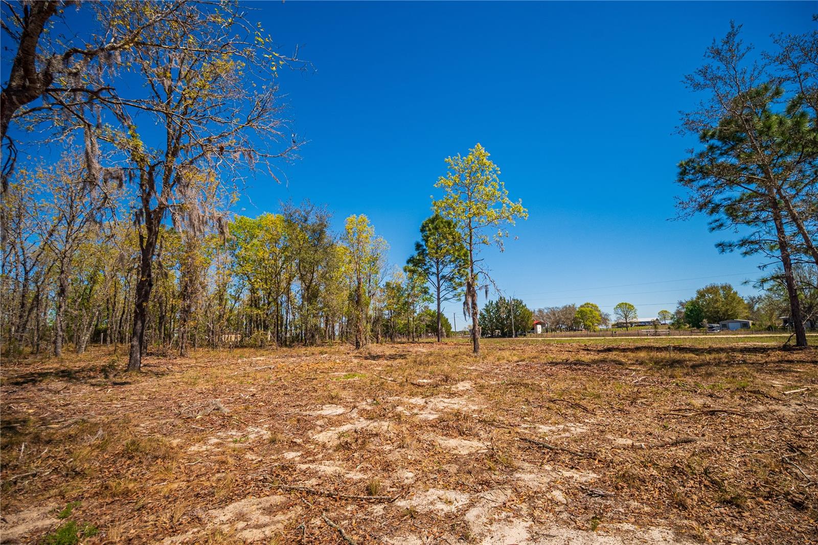 NE 118TH TER, BRONSON, FL, 32621