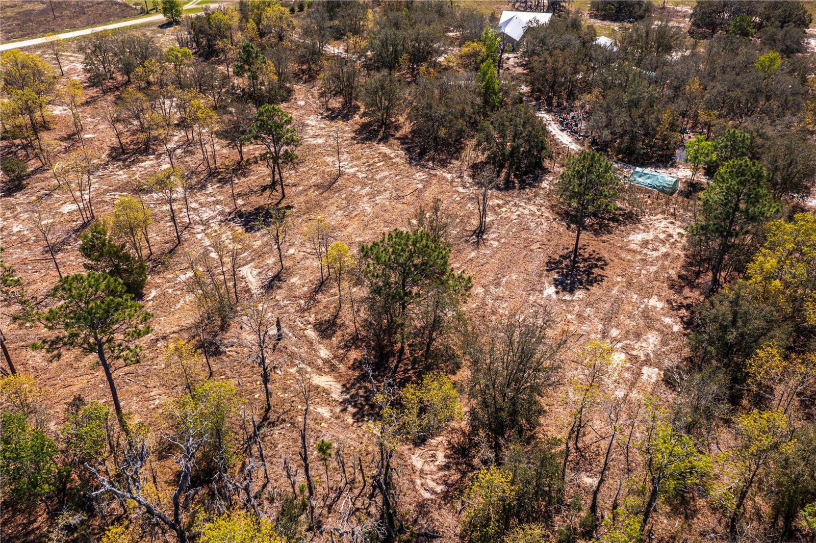 NE 118TH TER, BRONSON, FL, 32621