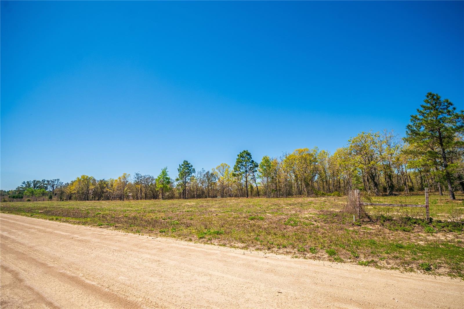 NE 118TH TER, BRONSON, FL, 32621