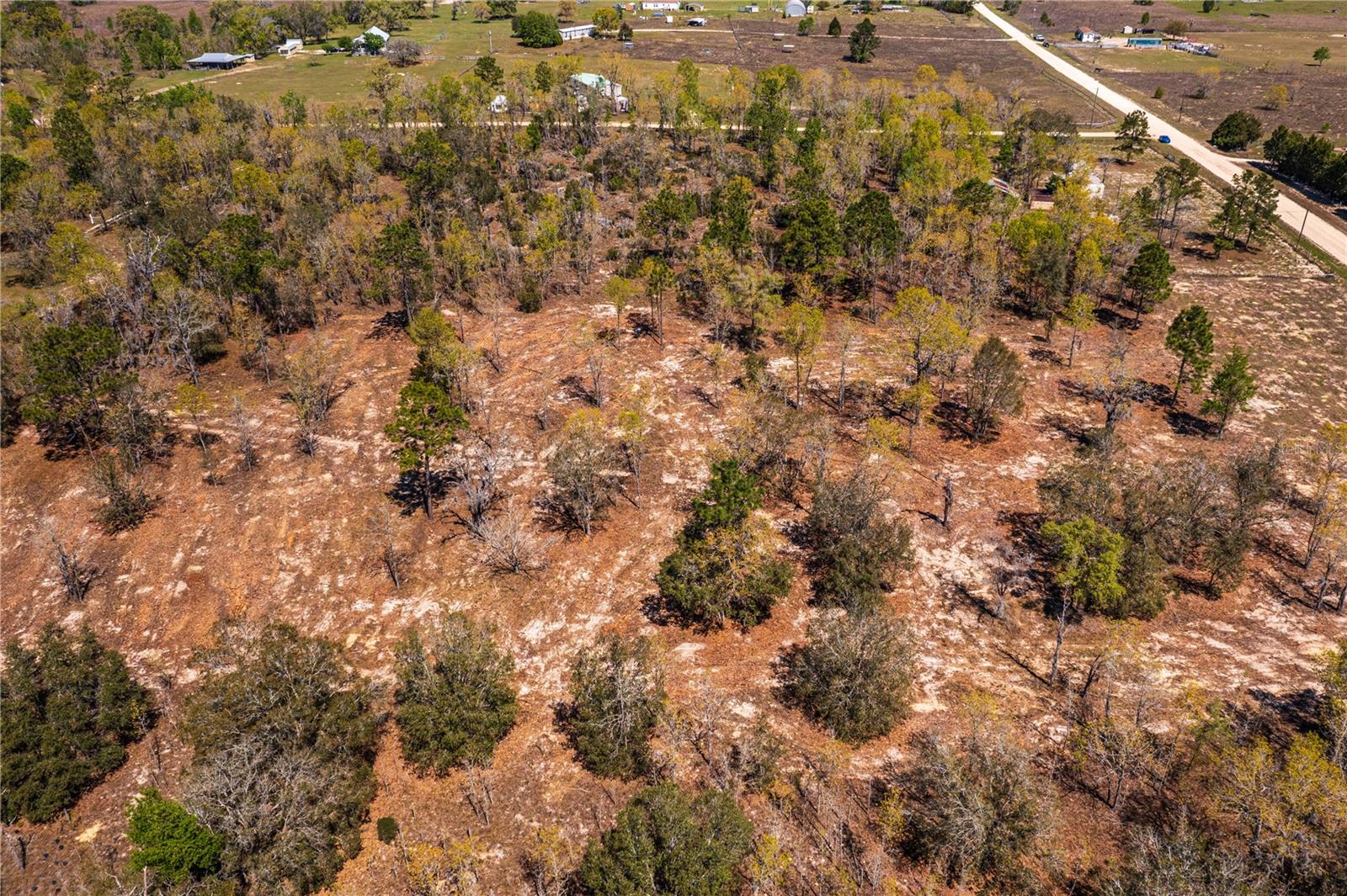 NE 118TH TER, BRONSON, FL, 32621