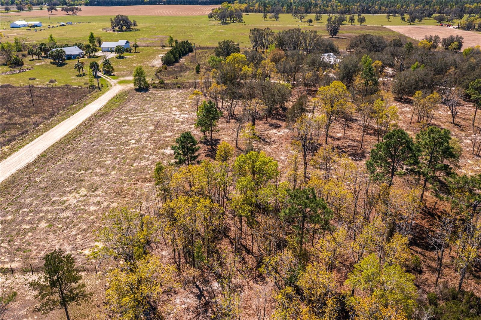 NE 118TH TER, BRONSON, FL, 32621